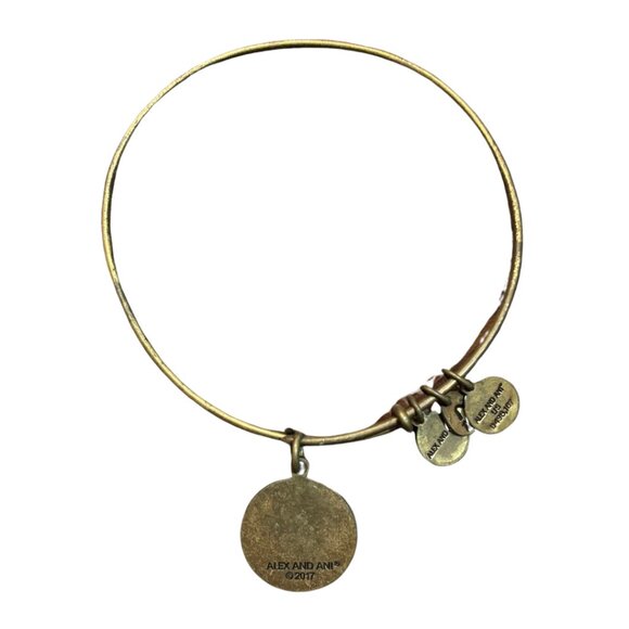 ALEX & ANI Dallas Texas Charm Bangle Bracelet - Picture 2 of 2
